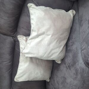 2 velvet pillows
